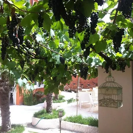 La Pergola Di Venezia